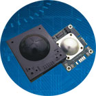 02119111-000�p�S�A�ǂ�����