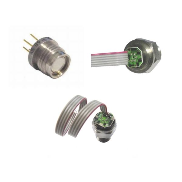 89ϵ�Љ���������