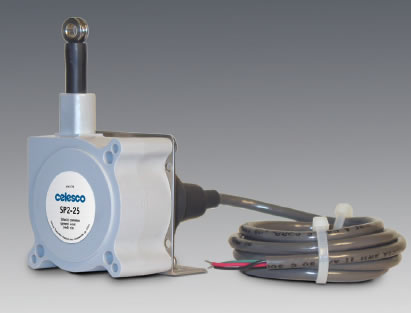 SP2���Kλ�Ƃ�����