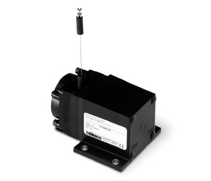 PT1DN���Kλ�Ƃ�����