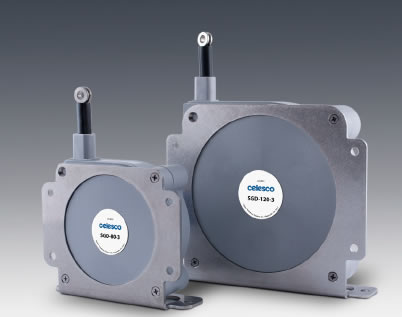 SGD���Kλ�Ƃ�����